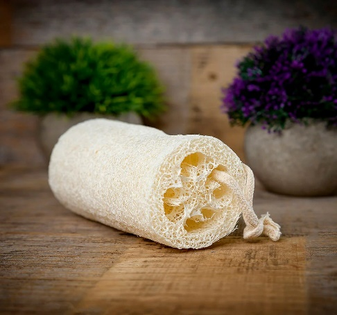 Natural Cylindrical Loofah 2